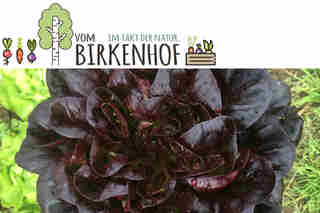 birkenhof diessenhofen